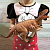  Игрушка динозавр Аллозавр 25 см Оранжевый