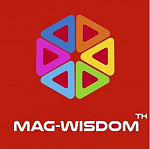 Конструкторы Mag Wisdom