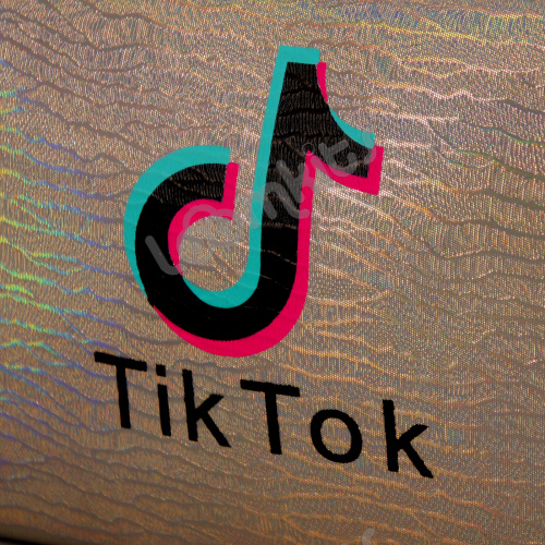 Пенал косметичка для девочки Tik Tok (Тик Ток), односекционный объемный на молнии, 1107 серый фото 4